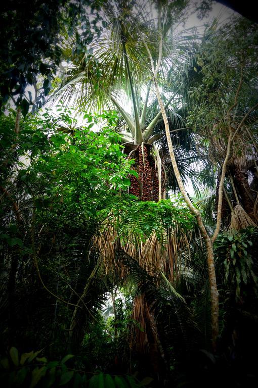 Villa Hermosa Puerto Maldonado Esterno foto