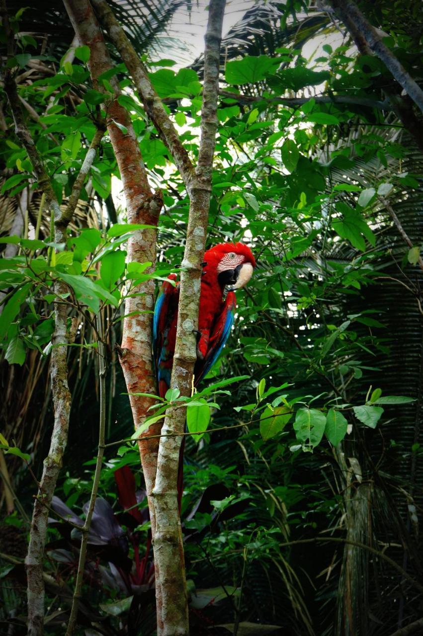 Villa Hermosa Puerto Maldonado Esterno foto