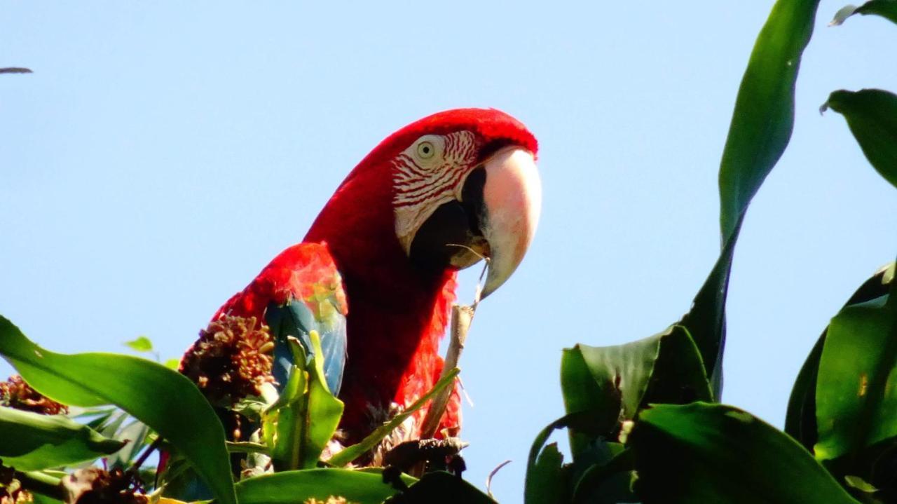Villa Hermosa Puerto Maldonado Esterno foto